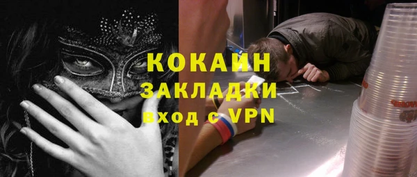 mdpv Богородицк