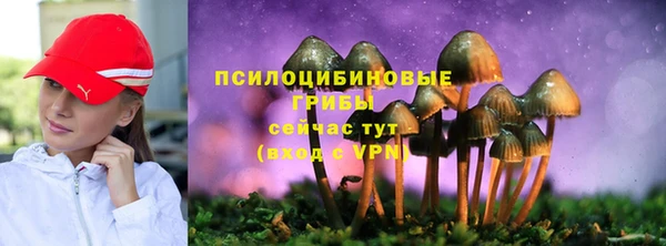 спайс Богородск