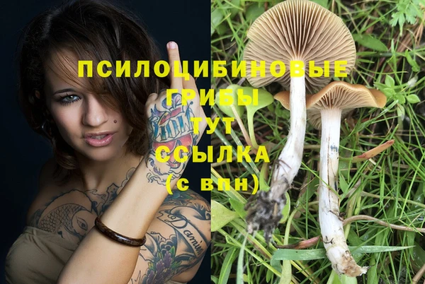 дмт Белоозёрский